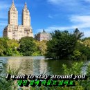The Everly Brothers - Let It Be Me 이미지