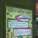 캑티 가챠샵(CACTI GACHA SHOP) 종각점 | [마곡] 발산역 신상 가챠샵 :: 캑티 가챠샵 발산점