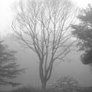 알파인 팬션 이미지