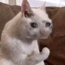 우마이도쿄 이미지