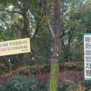 매화한정식 이미지