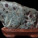 황용반점 이미지