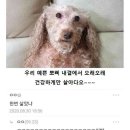 온하