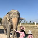 금산평화지역아동센터 | 태국 파타야 여행 코끼리 정글 생츄어리 아이랑 체험 Elephant Jungle Sanctuary Pattaya