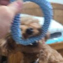 호식이두마리치킨율량점 이미지