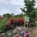 치유농장 연원당 이미지