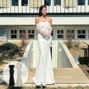 팜 비치 이미지