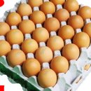 바른농장계란 이미지