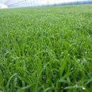 북두농장 이미지