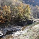 평화로03 이미지