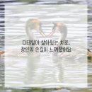 범석영치과의원 네이버블로그