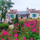 도로민박 | 남겨서 뭐하게 민박 위치 가격 예약 방법 후기