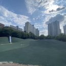 금잔디 어린이공원 이미지