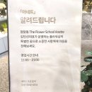 아네트플라워잠실 이미지