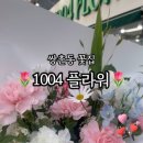 1004플라워 이미지