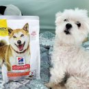 퍼펙트바이트 이미지