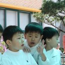 금마초등학교병설유치원 이미지