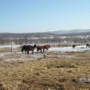 박창수 농장 이미지