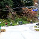 청풍호 감 이미지