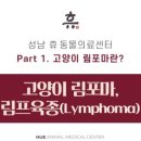 분당24시동물의료센터 이미지