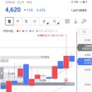 와이제이솔루션 이미지