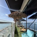 데니시베이커리 | 서울근교 거북섬 오션뷰 베이커리 카페 해밀화 가격 주차 솔직후기