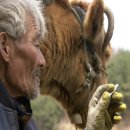 워낭소리 간이화장실 이미지