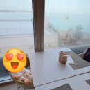 장수식당 | [괌 여행 2일차] 롯데호텔 라세느 조식 수영장 드림렌터카 남부투어 장수식당 솔직 후기