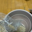 반려식물(홈가드닝) | 반려식물 홍천홉 키우기, 케이홉스 홈가드닝키트