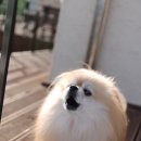 미르텔레콤 이미지