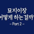 늘푸른장