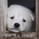 히히 - 고양시 일산서구 대산로 162 | 히히