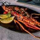발리헬스클럽 | 발리 울루와뚜 식스센스 리조트 절벽위의 천국