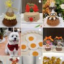 원바이트미 이미지