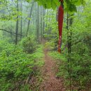 여강길(11코스 동학의길) 이미지