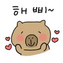 산만한시선 이미지