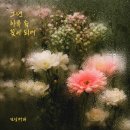 커피꽃