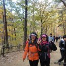 청송문화원 이미지