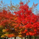 스마트폰사진활용 이미지