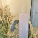 시로 C | 문정동 미용실 중단발 레이어드컷, 볼륨매직 c컬 후기 아티크레 아티스틱 시로디자이너