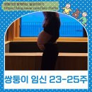 누리 독서회 | [쌍둥이 임신 일기] 임신 중기 23주 24주 25주 / 태교 여행 시기, 경주 힐튼 료칸, 생일, 아기방, 보드...