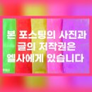 내소사 - 1318 | 천년고찰 내소사-주차,석가탄신일,방문후기
