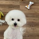 꼬맹이네 멍발소 이미지