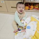국공립 한울어린이집 - 성북구 | 어린이집 시간제보육 신청 방법, 이용 후기, 국공립 목련 어린이집 시간제보육 시럽시해 서포터즈 위촉식