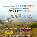 전남구례 산수유축제 이미지