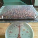 태백건재 이미지