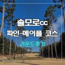 파인 | 솔모로cc 파인-메이플 코스 라운드 후기2