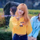 NATURE(네이처)PC 티스토리