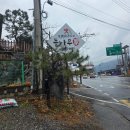 관광지내 경관용 토 | 대성리국민관광지 벚꽃 맛집 등나무가 아이랑 가기 좋은 닭백숙맛집 가평여행