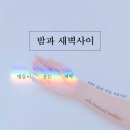 흔한 예능스태프들의 노력 (feat. 신서유기2) 이미지